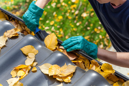 Gutter cleaning